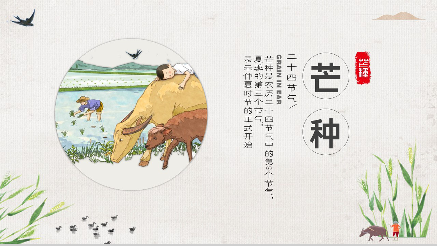 灰绿中国风传统二十四节气芒种主题汇报总结PPT模板