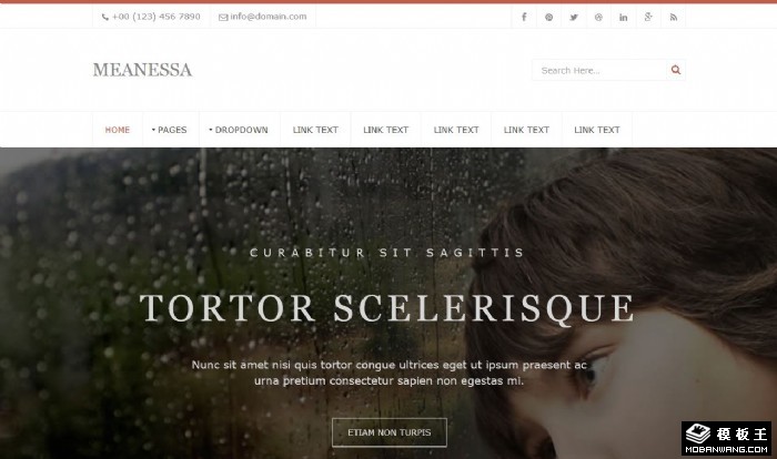 商业驱动服务公司网页模板