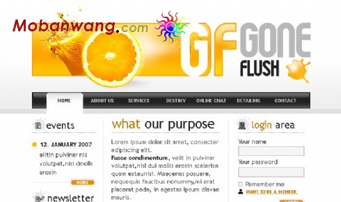 设计团队BLOG网页模板