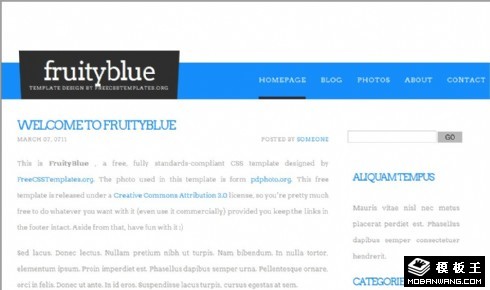 水果蓝色清新信息网页模板