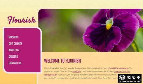 鲜花绽放物语网页模板