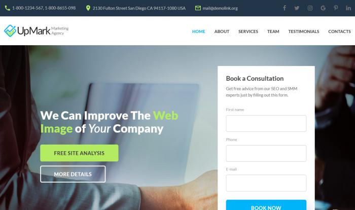 网站转化分析营销着陆页模板