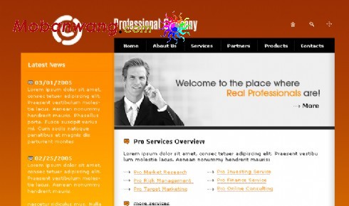 欧美专业商务网页模板