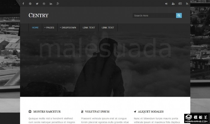 灰色产品分析网页模板