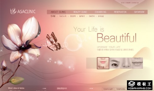 梦幻粉色美容网页模板