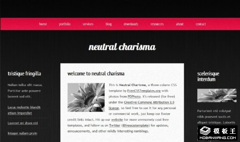 黑色中性魅力三列网页模板