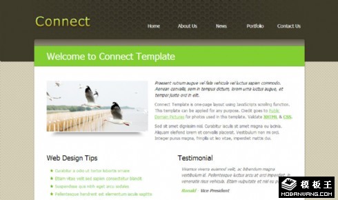 面板连接信息动态网页模板