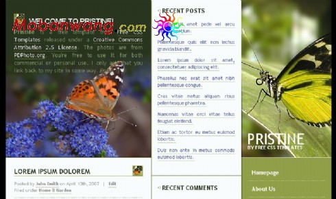蝴蝶主题日志网页模板