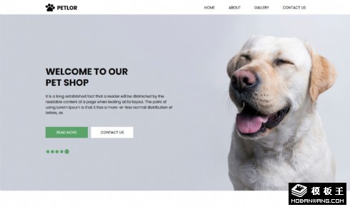 宠物训练响应式网页模板