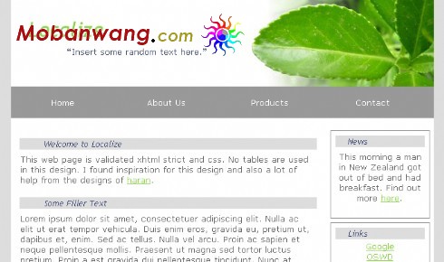 绿叶个人BLOG网页模板