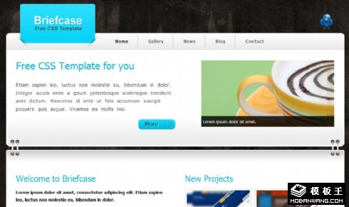 连接面板信息动态网页模板