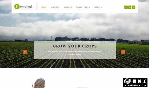 农田开发生产响应式网站模板