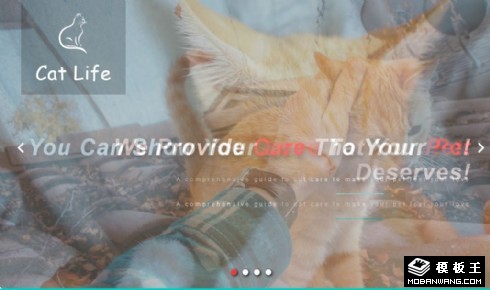 猫生活宠物动态响应式网页模板
