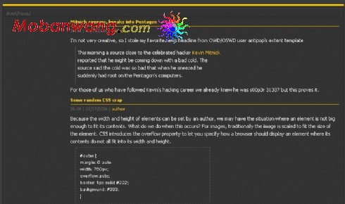 灰色BLOG信息网页模板