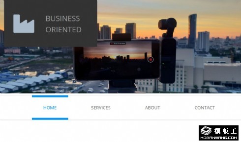 商务导向咨询响应式网页模板