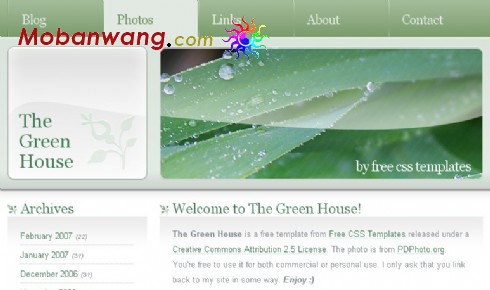 绿叶主题BLOG网页模板