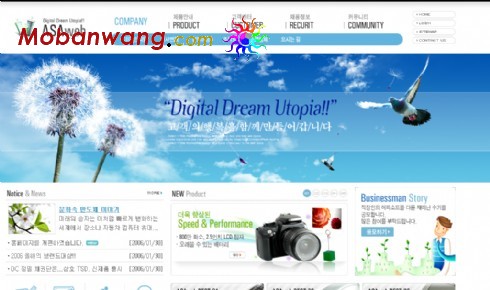 数码产品代理公司网页模板