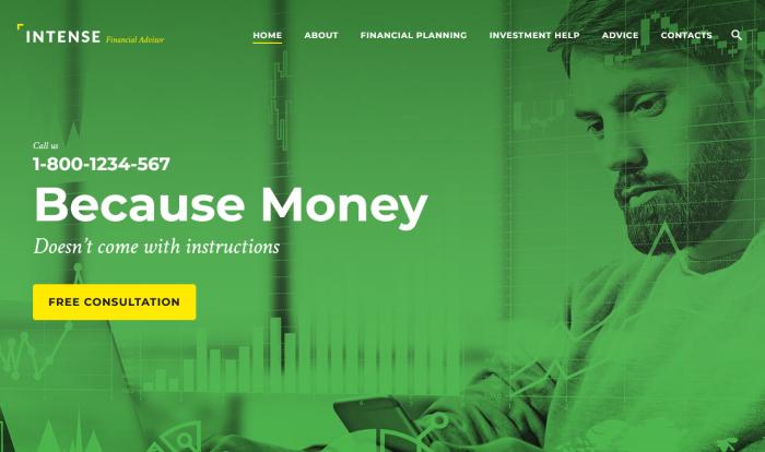 全面财务解决方案咨询网站模板