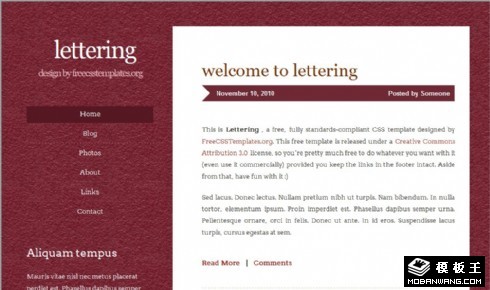 枣红石皱信息网页模板