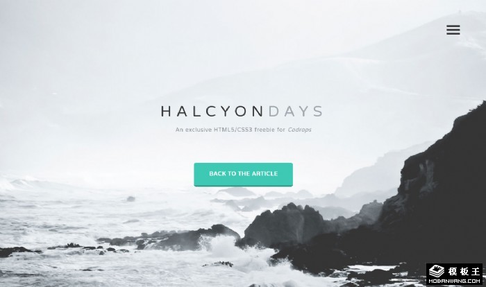 时尚商务组合单页面网页模板