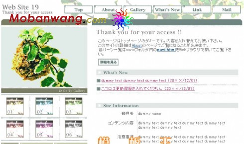 日本植物研究机构网页模板