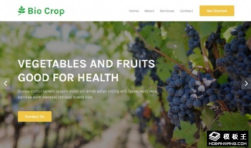 生态果园展示响应式网页模板