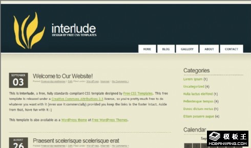 信息技术BLOG网页模板