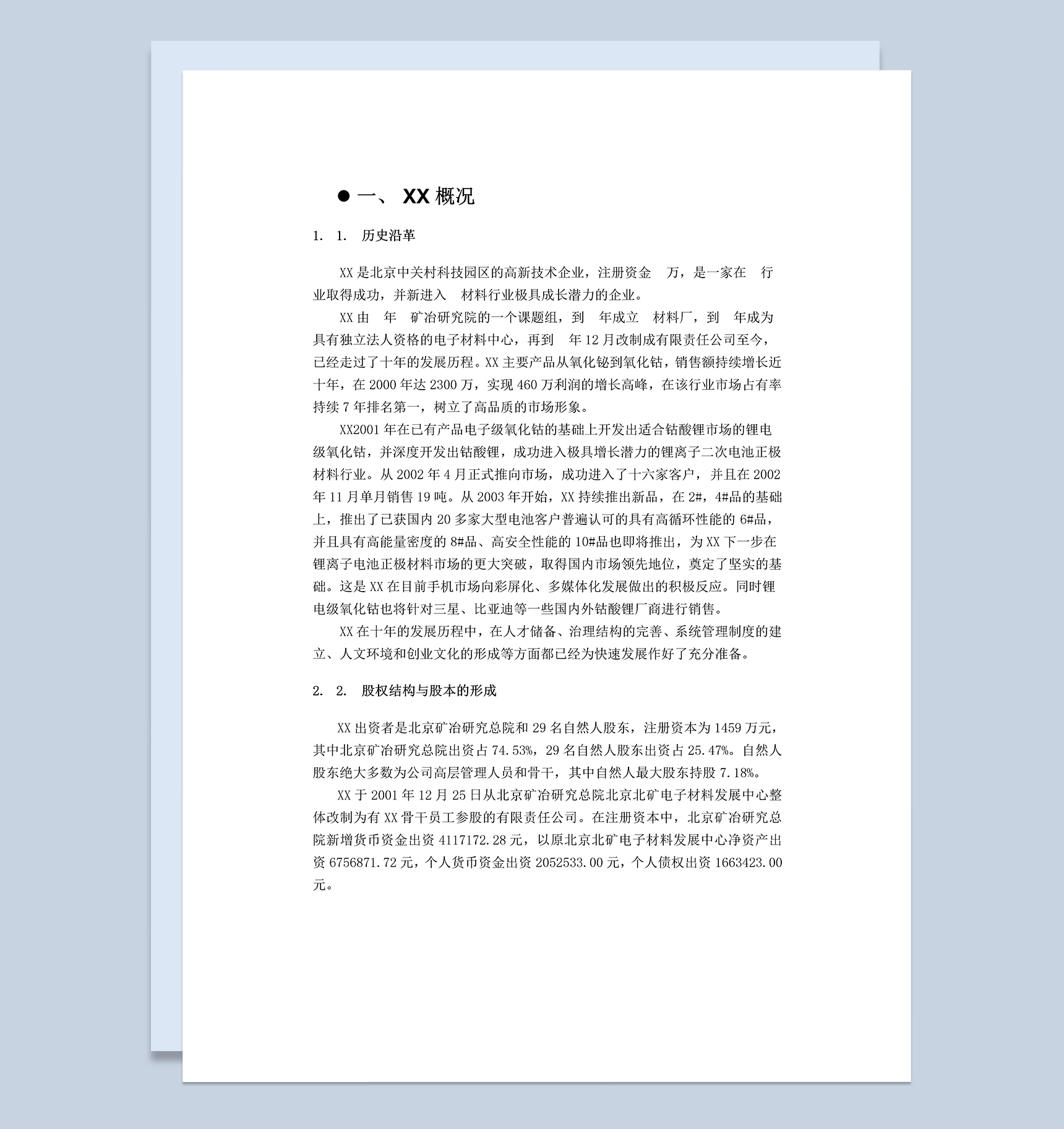 XX材料科技有限公司商业计划书Word模板