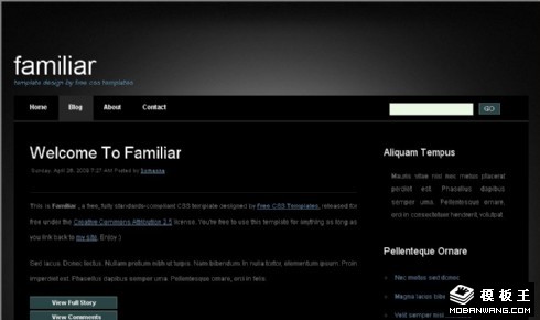 黑色幻光BLOG网页模板