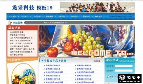 艺术招生信息网页模板