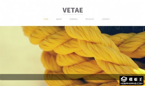 思维商业服务公司响应式网页模板