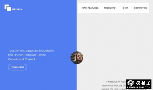 天蓝日志动态展示响应式网页模板