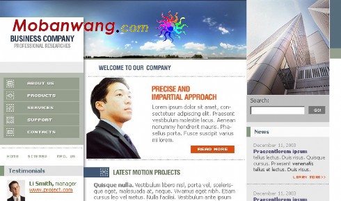 软件开发企业网站模板