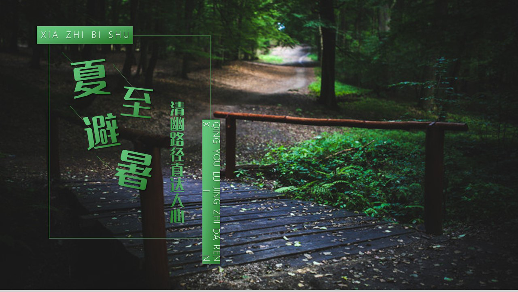 绿色简约中国传统二十四节气夏至避暑PPT模板