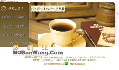 漂亮的网站引导首页模板