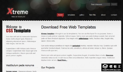 银灰服务信息网页模板