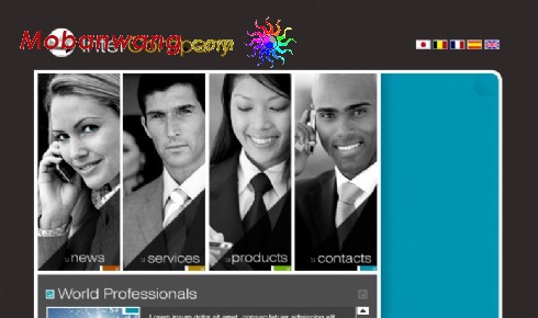 欧美网络商业公司网页模板