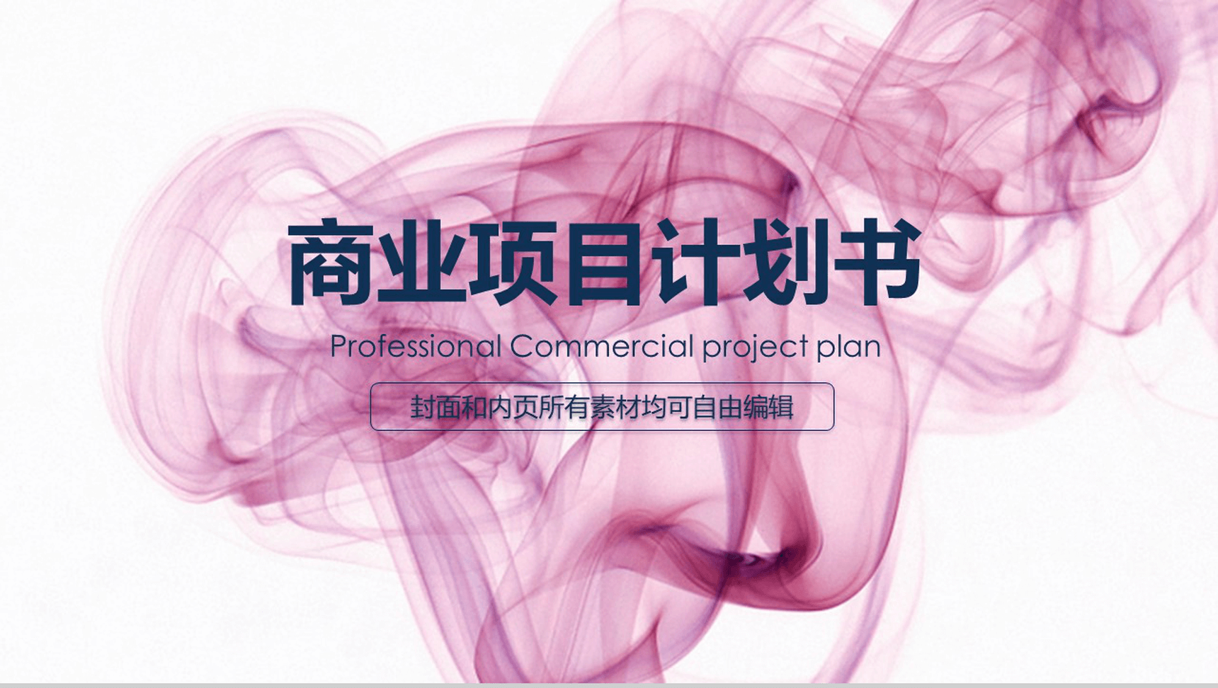 公司商业项目计划书PPT模板