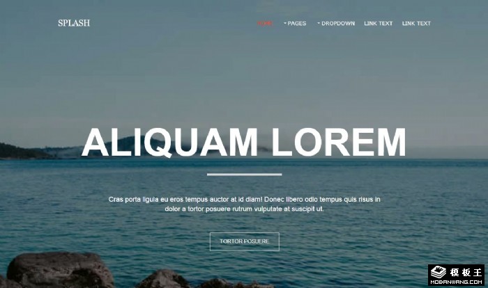 海景业务管理动态网页模板