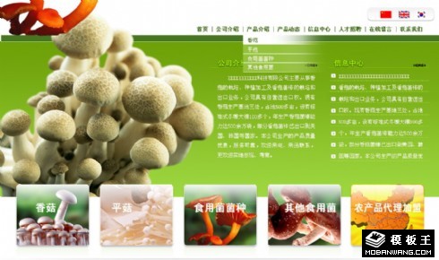 菇菌生物科技公司网页模板