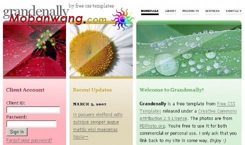 三色渐变BLOG信息网页模板