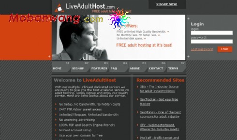 主机介绍灰色网页模板