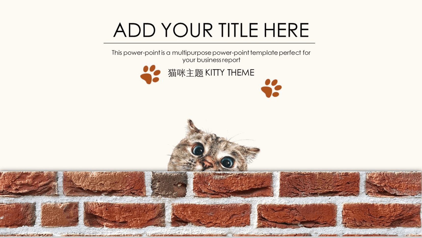 简约创意猫咪主题商业计划书PPT模板