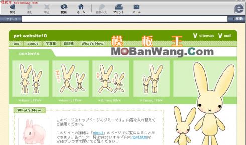 日本兔子卡通模板