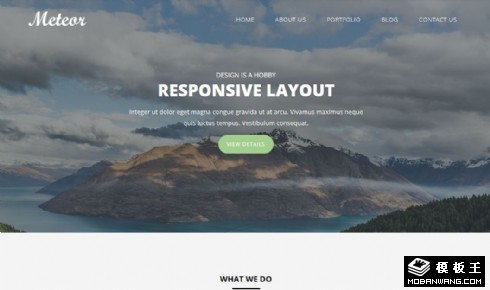 企业项目展示动态响应式网页模板