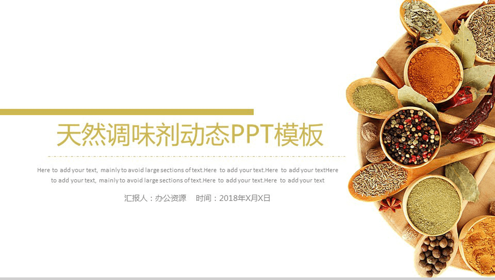 简洁简约食品调味剂宣传策划汇报新年计划PPT模板