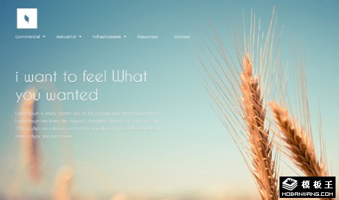 有机小麦农业介绍网页模板