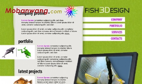 FLASH设计公司网页模板