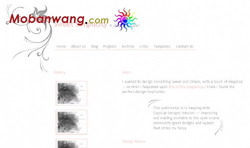 简洁花纹个人网页模板