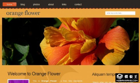橘黄色鲜花BLOG网页模板